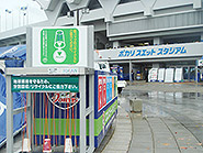 たぬきまつり